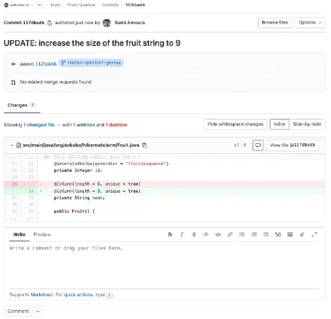 GitLab fruitz-quarkus update