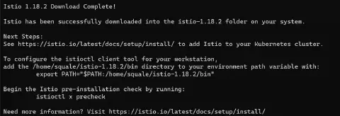 istioctl installation