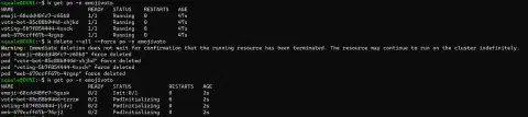 namespace injection