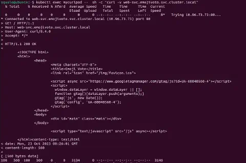 HTTP Access granted