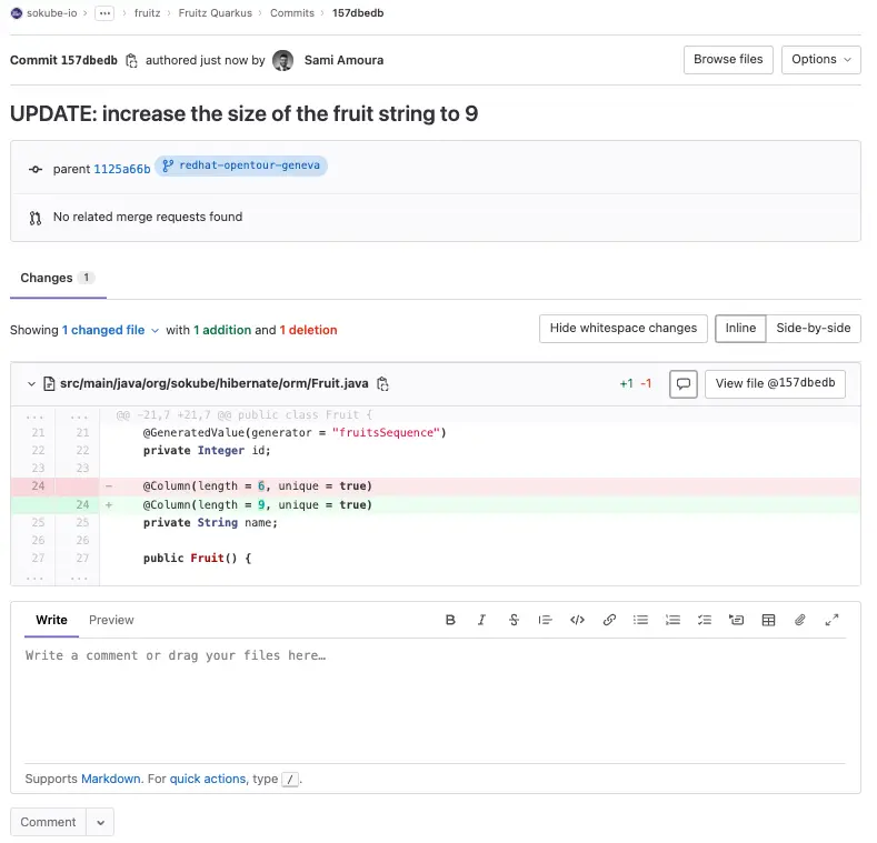 GitLab fruitz-quarkus update